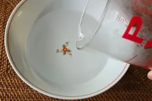 sirabee20260421moyashi2