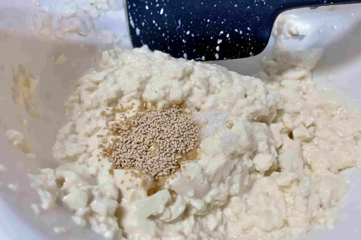 sirabee20260423tofu7