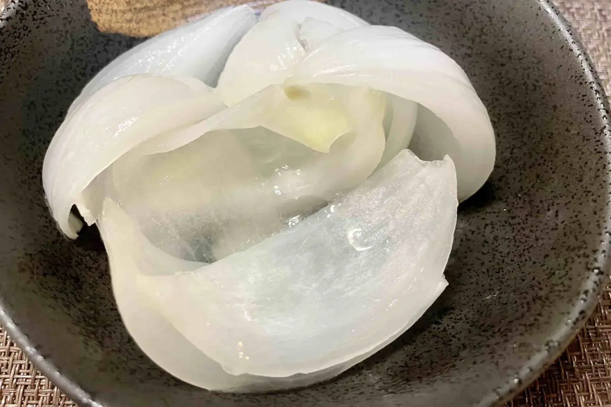 sirabee20260424onion4