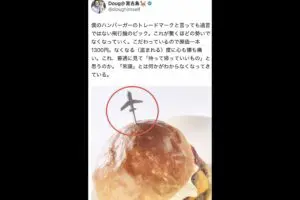 ハンバーガーに刺さってる“アレ”の盗難相次ぎオーナー悲鳴　SNSでは「持って帰っちゃいけなかったの」