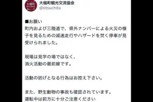 【大槌・山林火災】三陸道付近での“野次馬行為”が消火活動の妨げに　SNSでは「非常識」の声