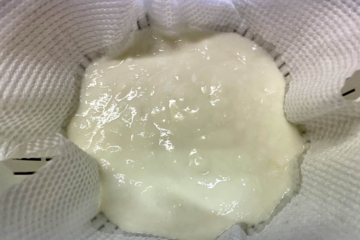 塩麹チーズ