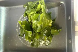 sirabee20260509wakame2