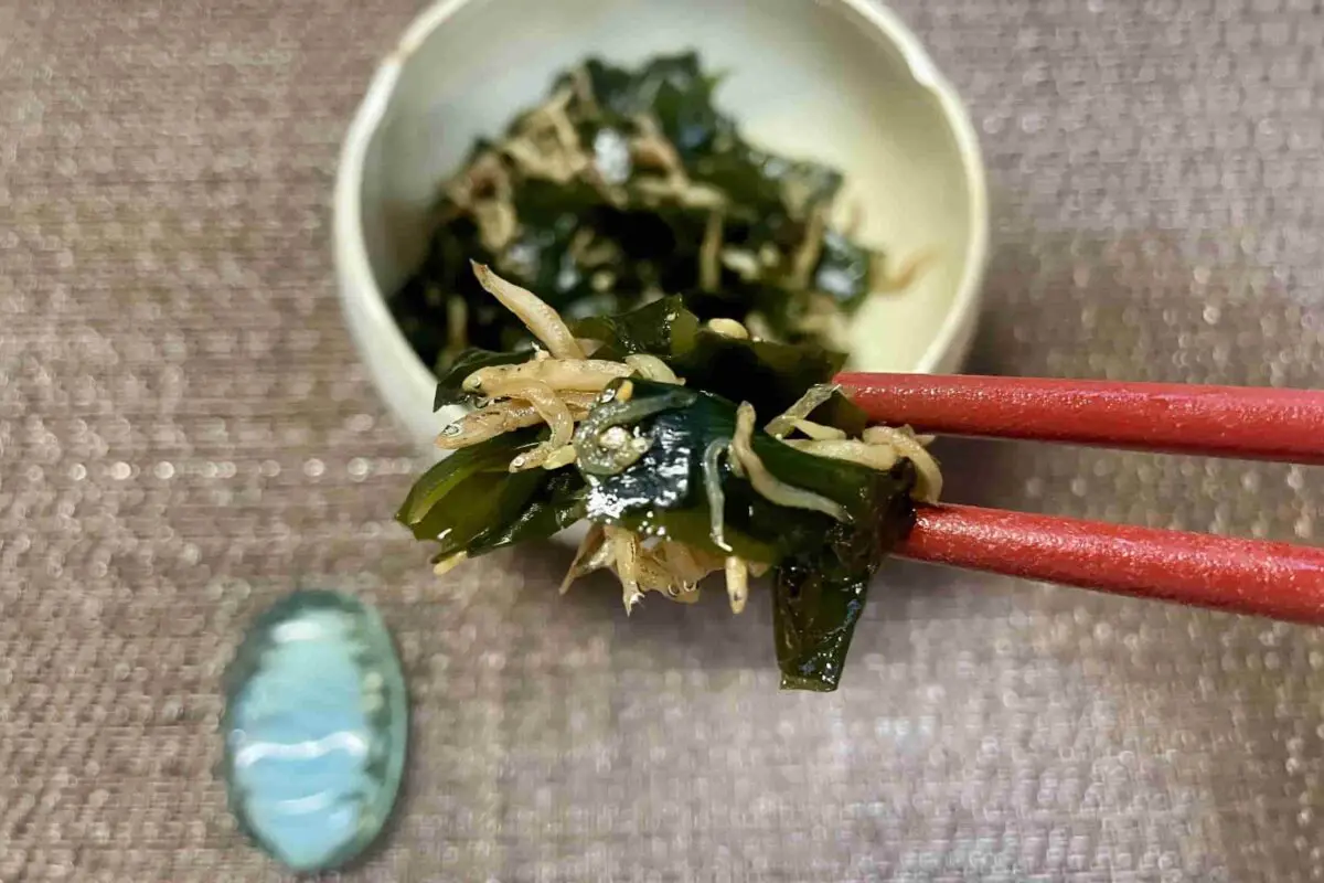 sirabee20260509wakame7