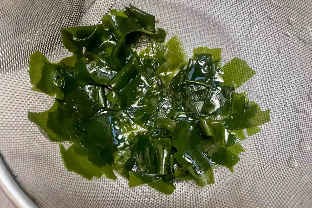 sirabee20260509wakame8