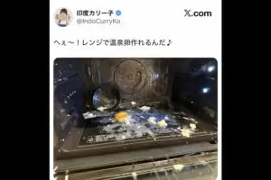 料理研究家が電子レンジで“大爆発させたもの” 「あなたほどの実力者がどうして…」驚きの声