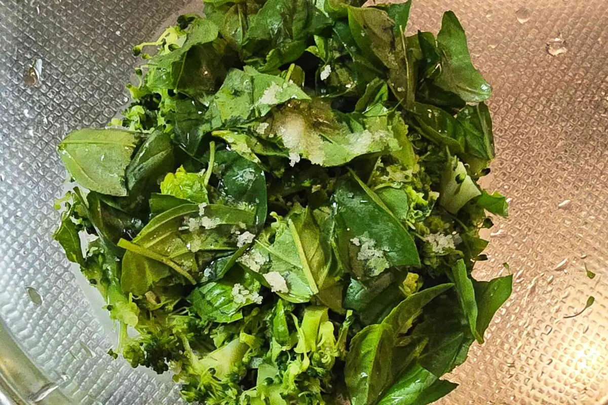 sirabee20260520basil10