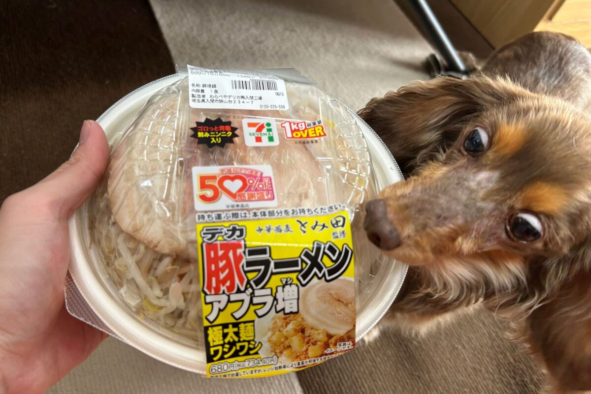 中華蕎麦とみ田監修 デカ豚ラーメンアブラ増