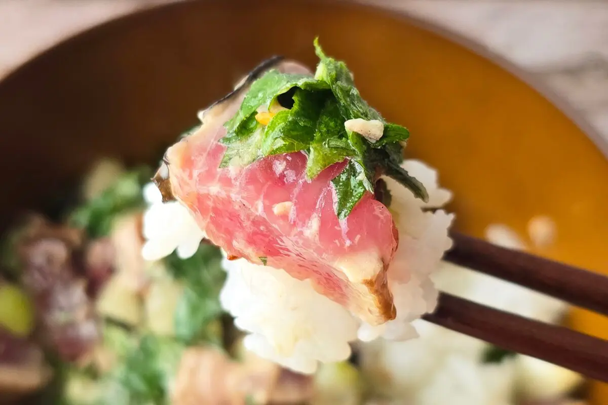 sirabee20260526katsuo8