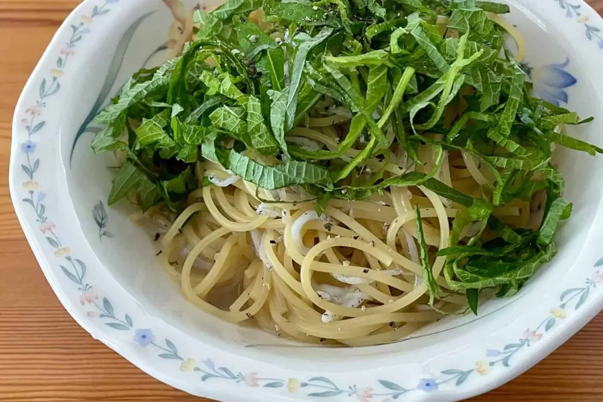 sirabee20260526shirasu1