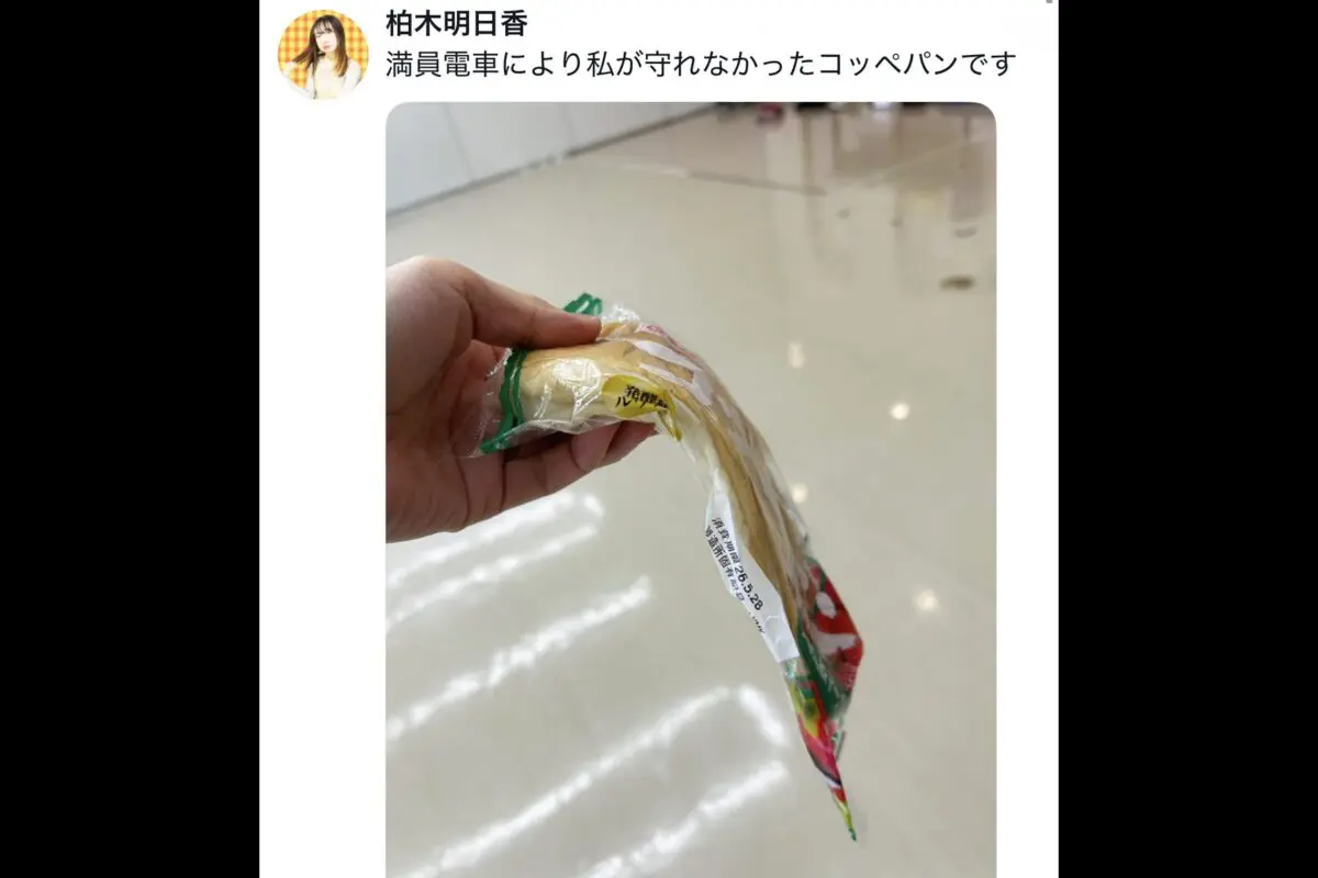 「守れなかった」満員電車でパンが潰れる悲劇も… 「さすがヤマザキ」称賛のワケ