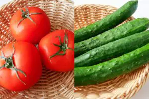 トマトを買うなら“ここ”を見る　イオンの野菜選びのプロが教える目利きテク