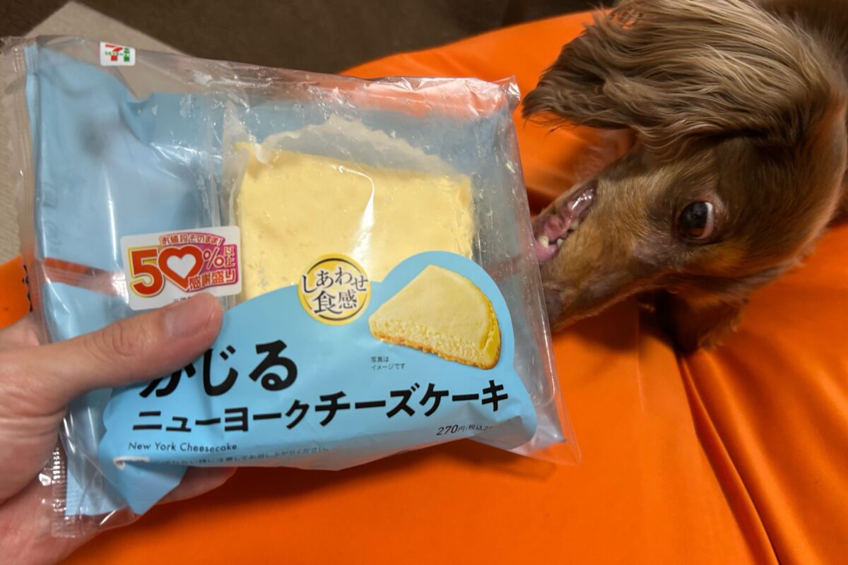 セブンイレブン『かじるニューヨークチーズケーキ』