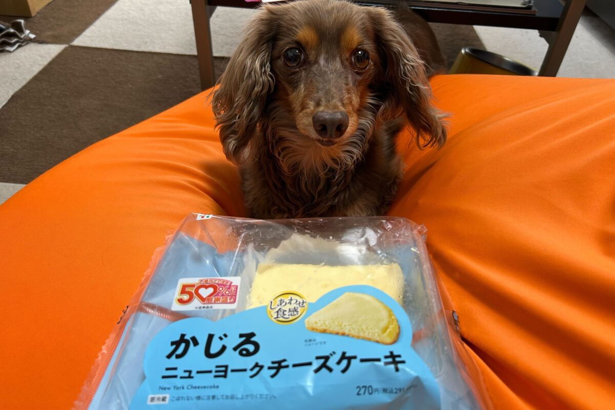 セブンイレブン『かじるニューヨークチーズケーキ』