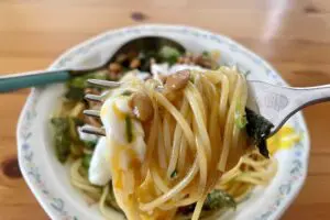 sirabee20260601natto9