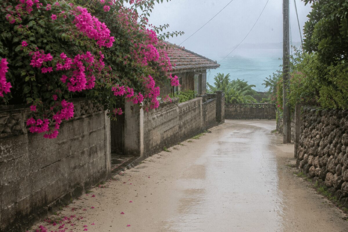 雨が降る沖縄のイメージ