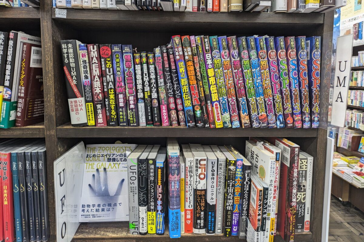 書泉グランデ「UMA」コーナー（通常時）