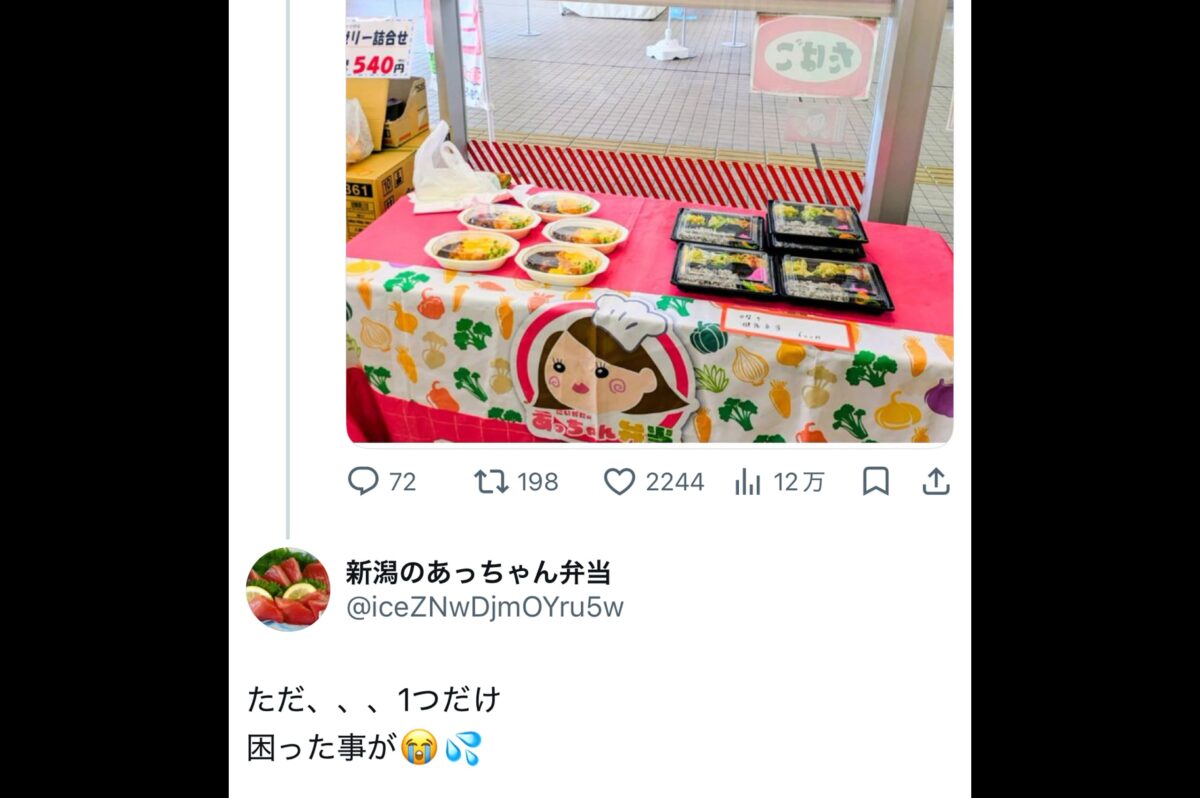 新潟のあっちゃん弁当X