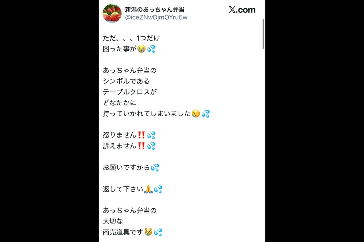 新潟のあっちゃん弁当X
