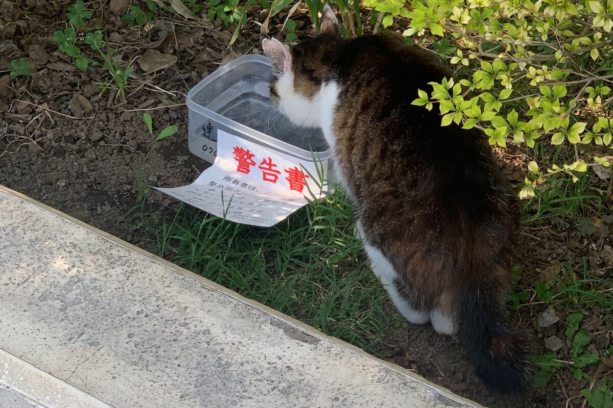 公園に置かれたタッパー