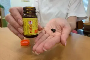 sirabee20260611seirogan