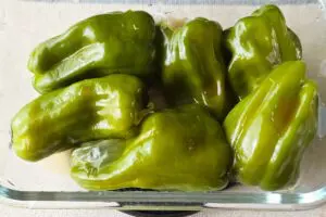 sirabee20260622gyoza12