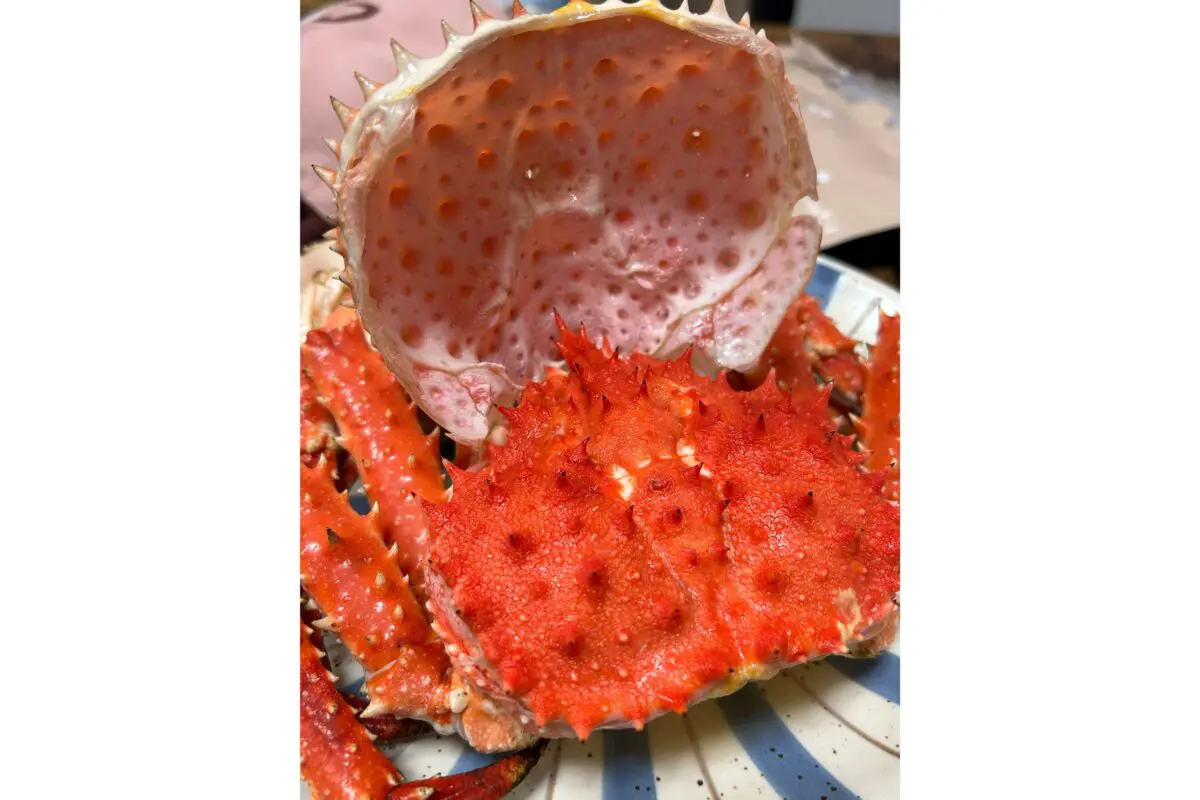 sirabee20260625crab2