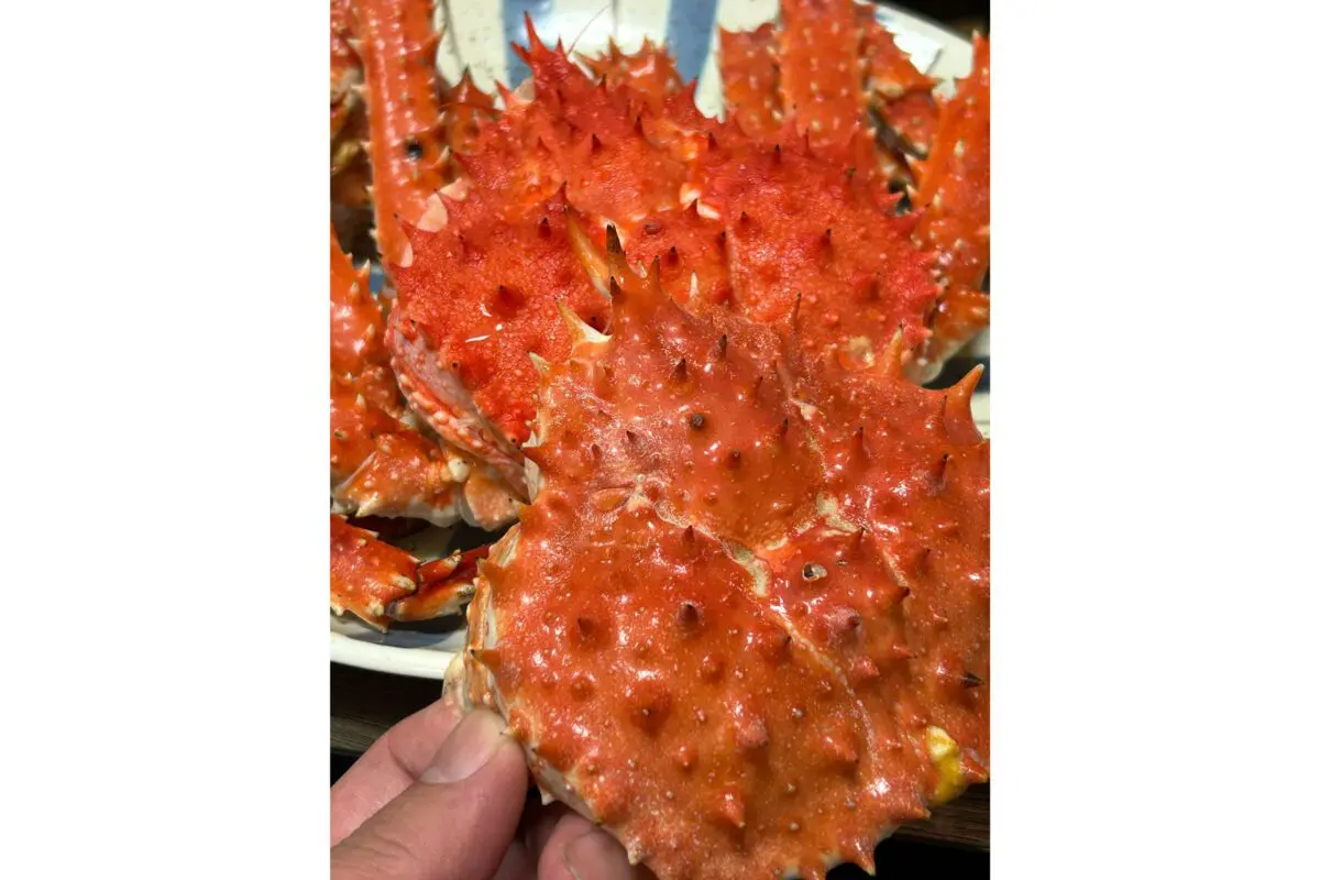 sirabee20260625crab3