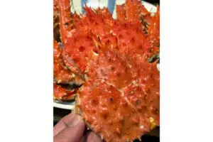 sirabee20260625crab3