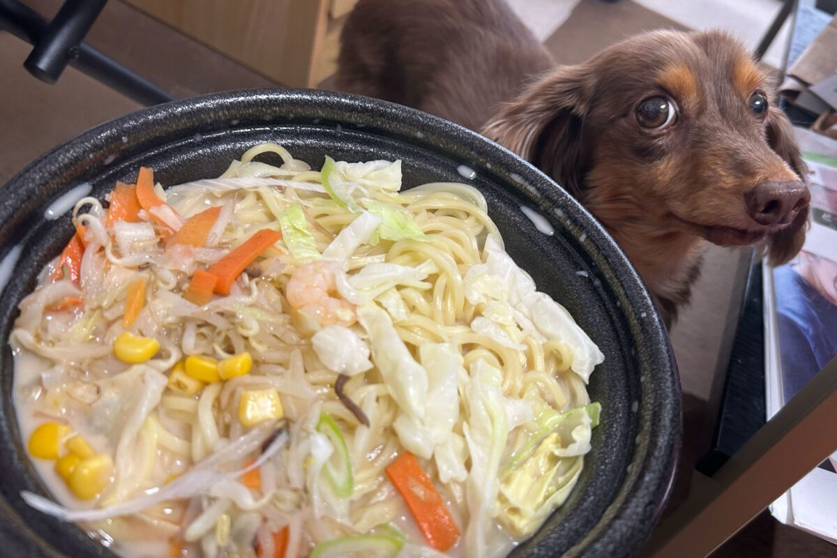 ローソン『1食分の野菜ちゃんぽん』