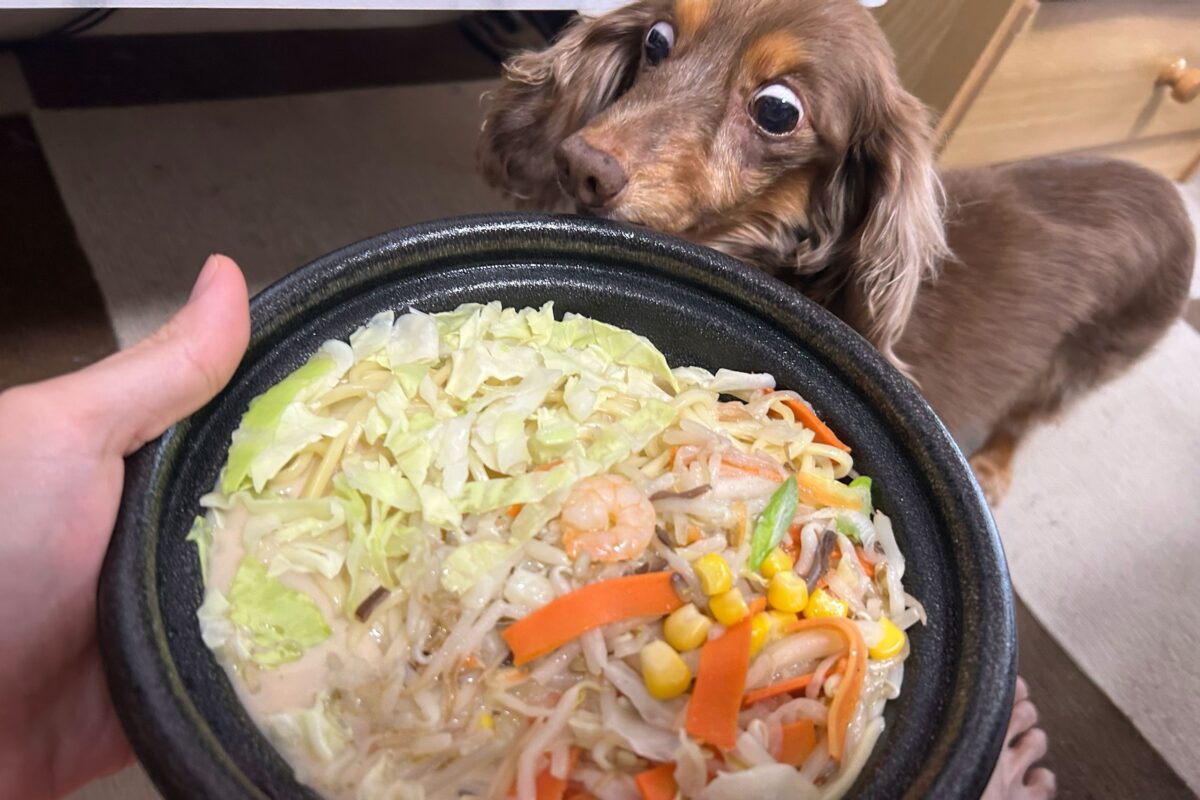 ローソン『1食分の野菜ちゃんぽん』