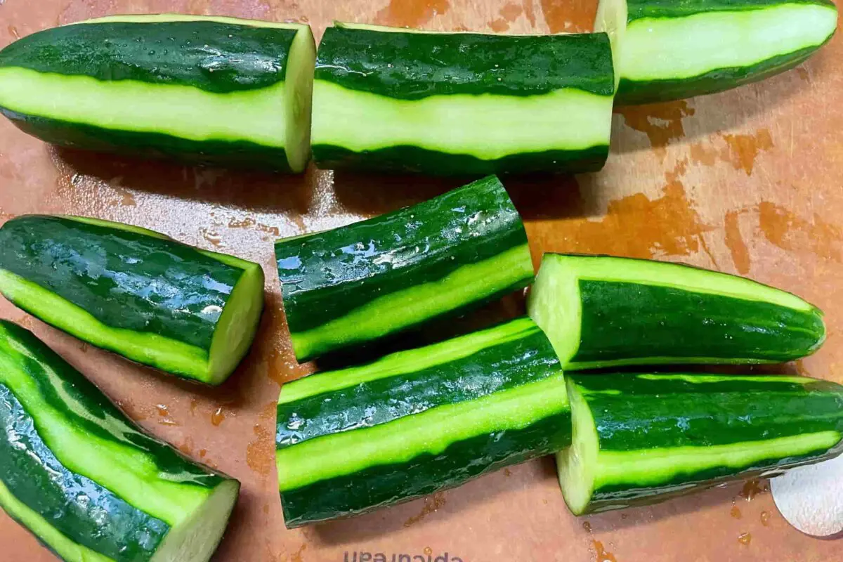 sirabee20260709cucumber12