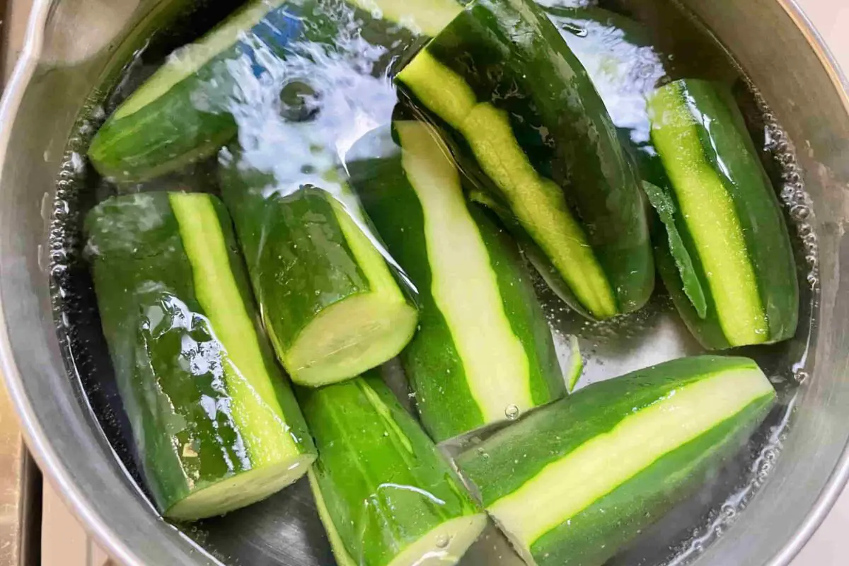 sirabee20260709cucumber4
