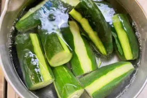 sirabee20260709cucumber4