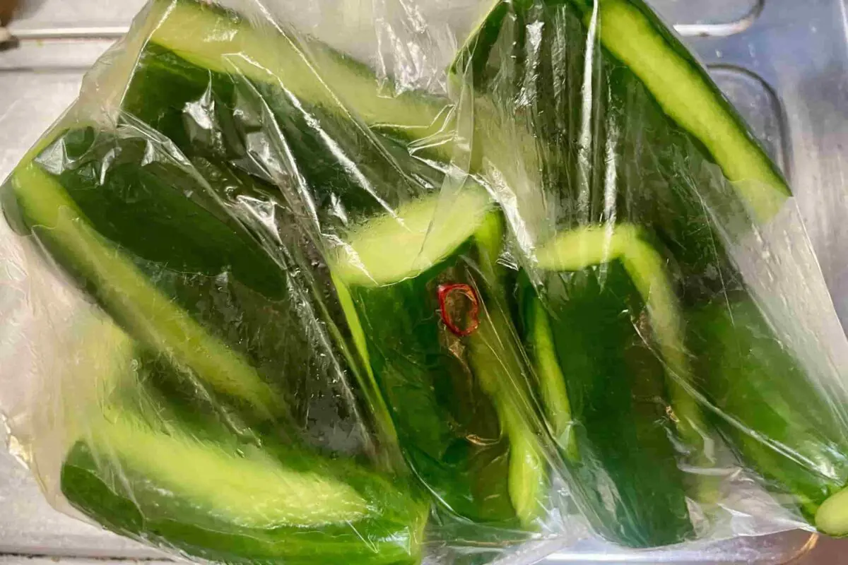 sirabee20260709cucumber7
