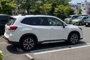 車の「あの場所」に、買い出しの荷物は絶対いれないで　農水省も「必ず…」警鐘鳴らす