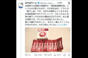 自衛隊が愛用する「梅干しタブレット」が塩分補給と夏バテ予防に　「疲れが吹っ飛ぶ」「だいぶ違う」Xで話題