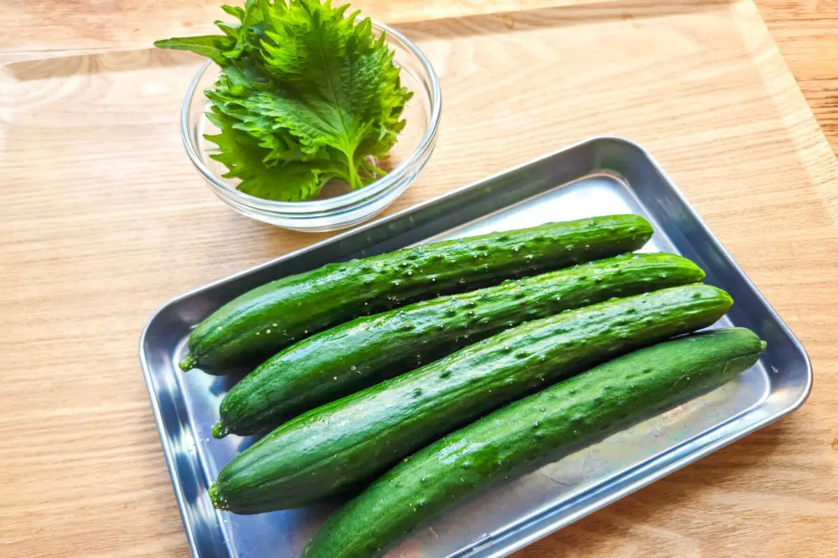 sirabee20260717mugen2