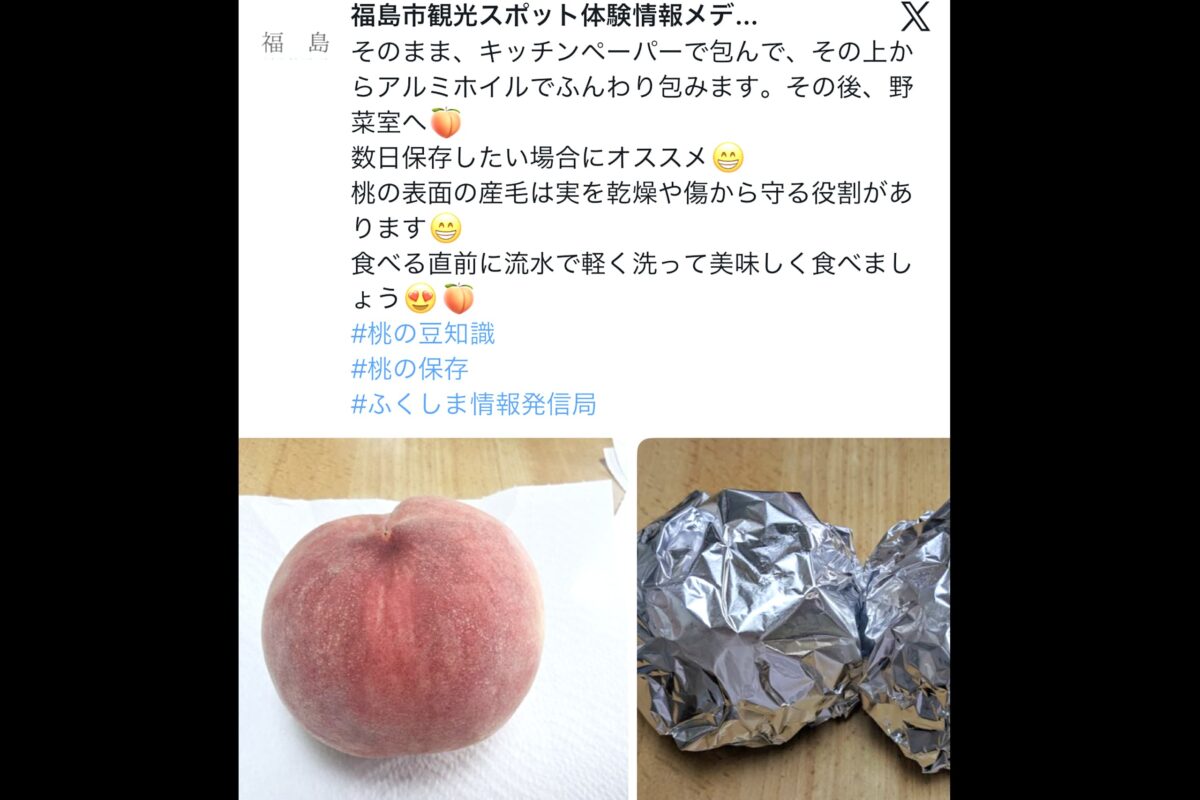 福島市観光スポット体験情報メディア えふえふX