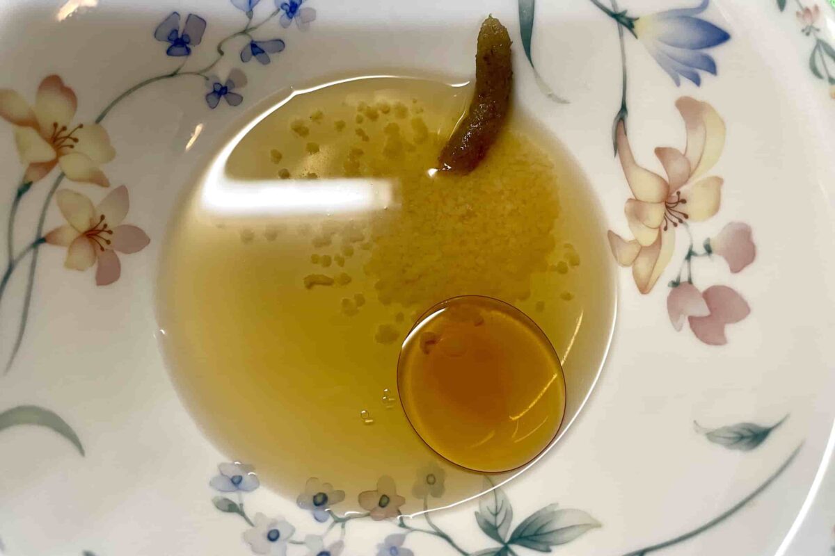 鶏塩そうラーメン