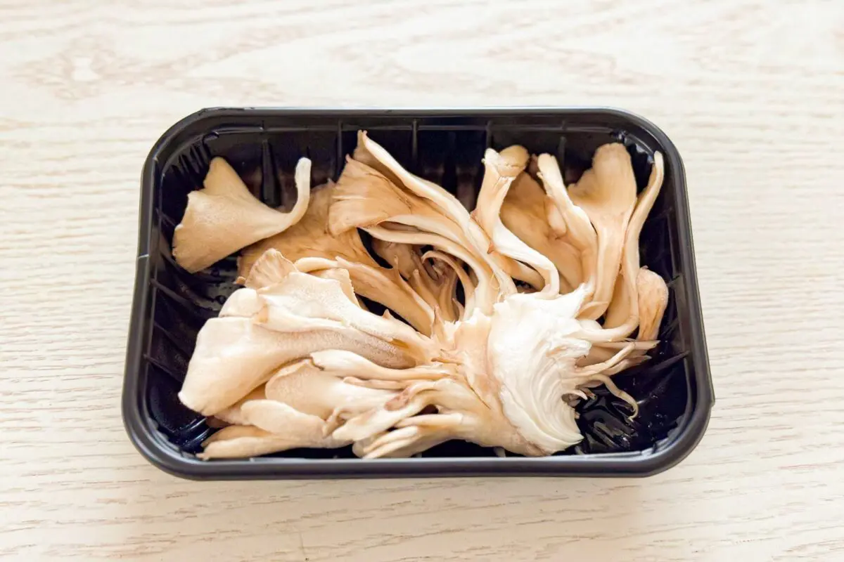 sirabee20260727maitake1