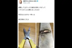 蒼井そら、双子男児がテレビの線を切断して…　“真っ黒に焦げたハサミ”を公開「感電しなくてよかった」