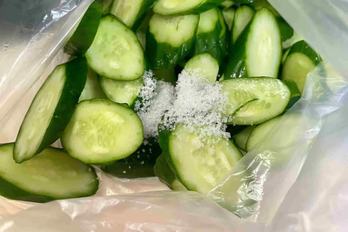 sirabee20260730cucumber3