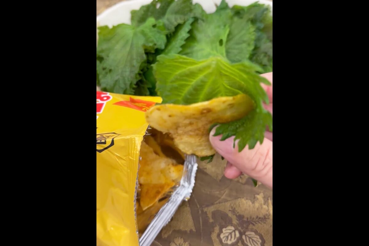 ニッポン街歩き紀行X