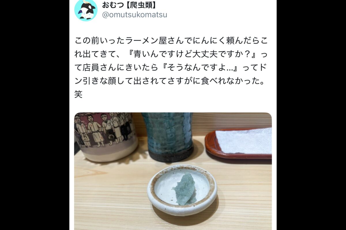 おむつ【爬虫類】X