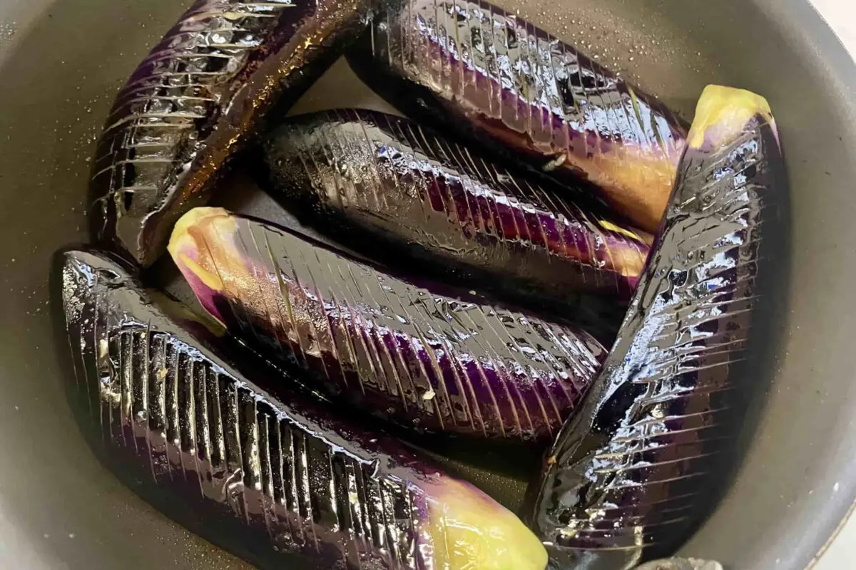sirabee20260807eggplant6