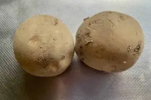 sirabee20260811potato1