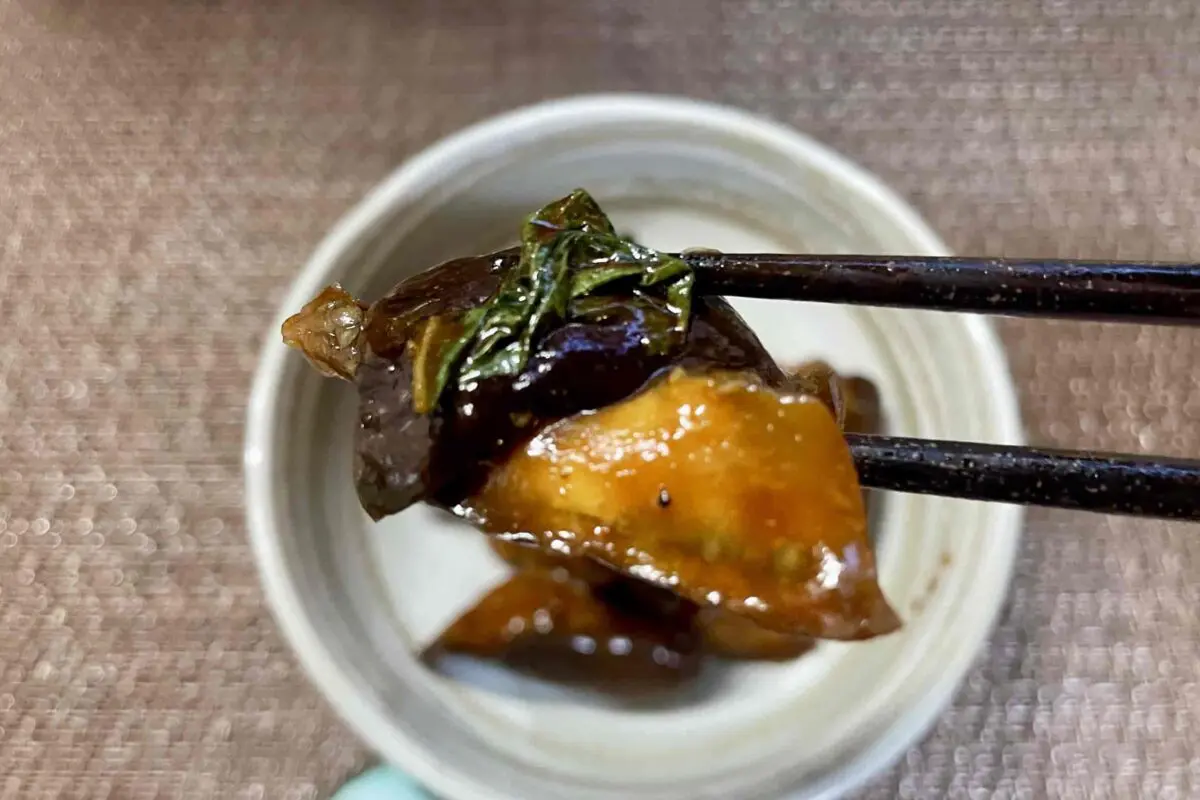 sirabee20260816eggplant10