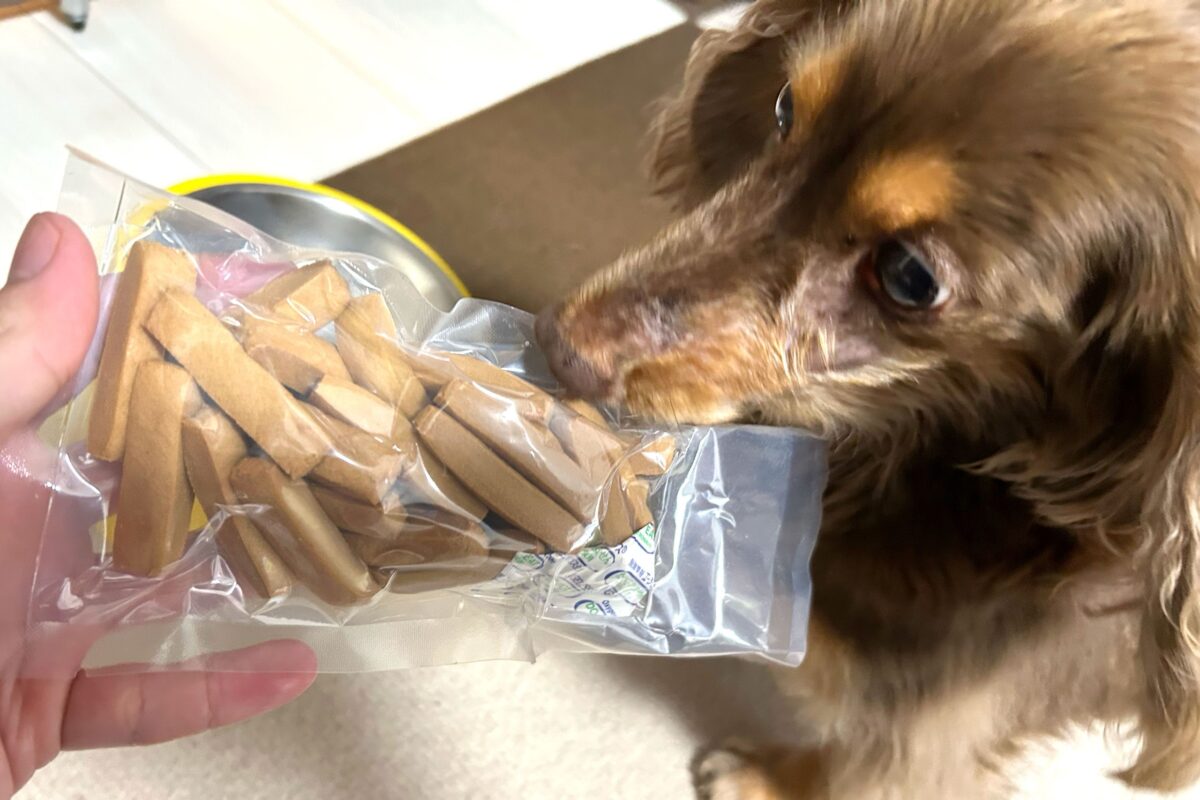 愛犬と防災グッズ