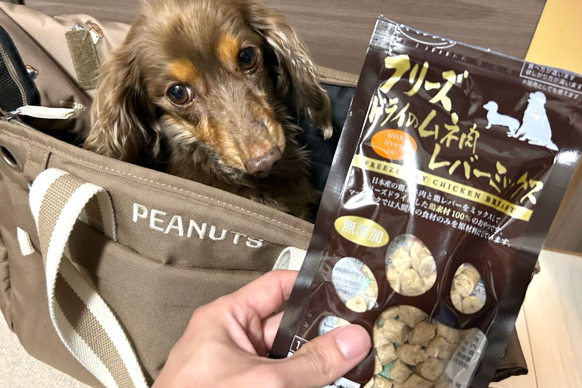 愛犬と防災グッズ